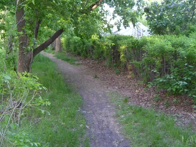 Lover's Lane footpath