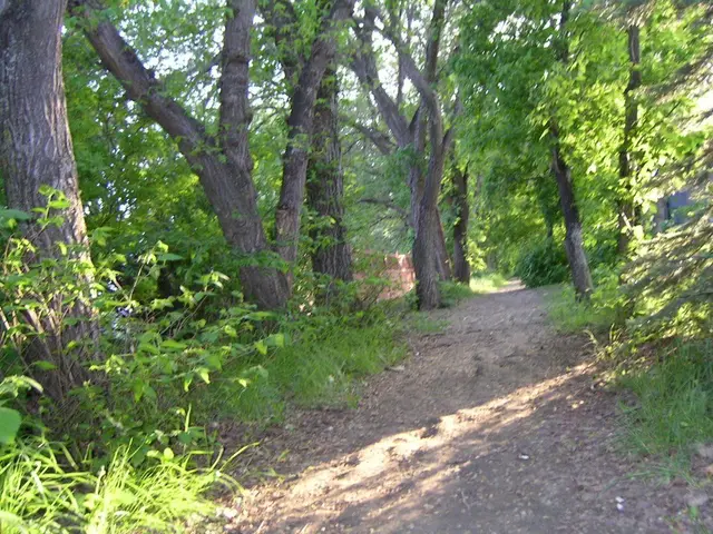 Lover's Lane wooded trail