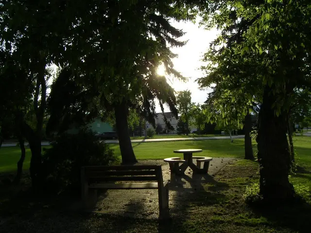 Park bench and picnic table at sunset