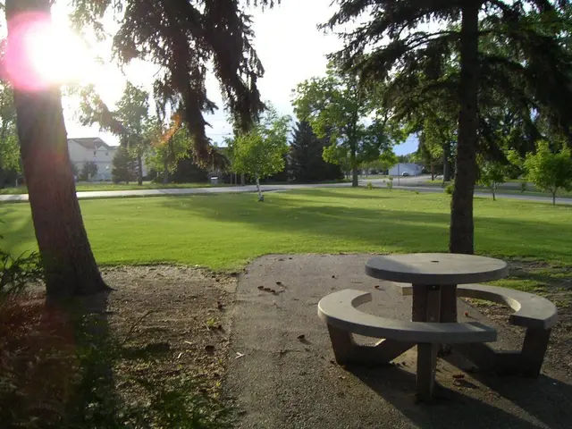 Picnic table in a park